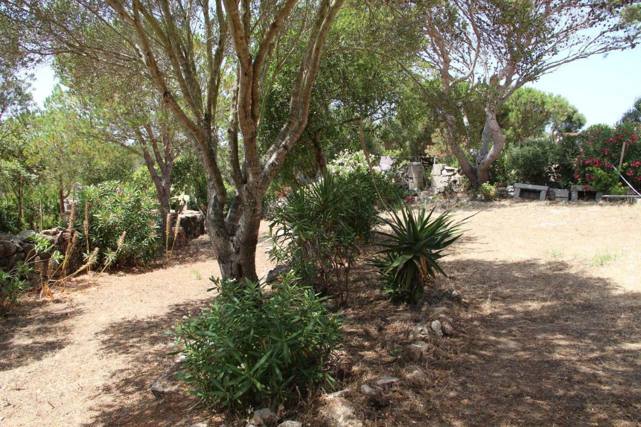 Le 25 Tartarughe Bed & Breakfast Santa Teresa Gallura Exterior photo