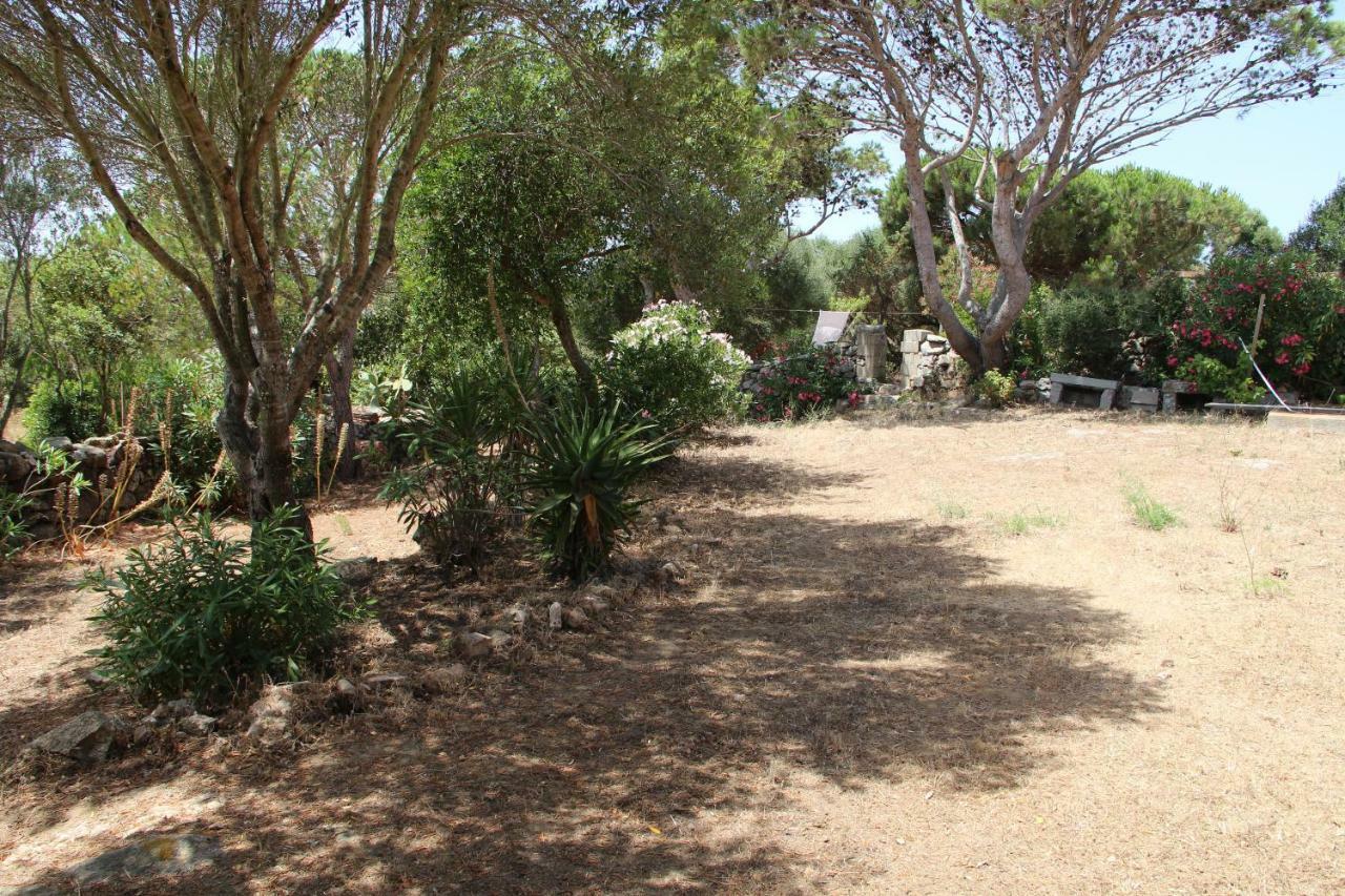 Le 25 Tartarughe Bed & Breakfast Santa Teresa Gallura Exterior photo
