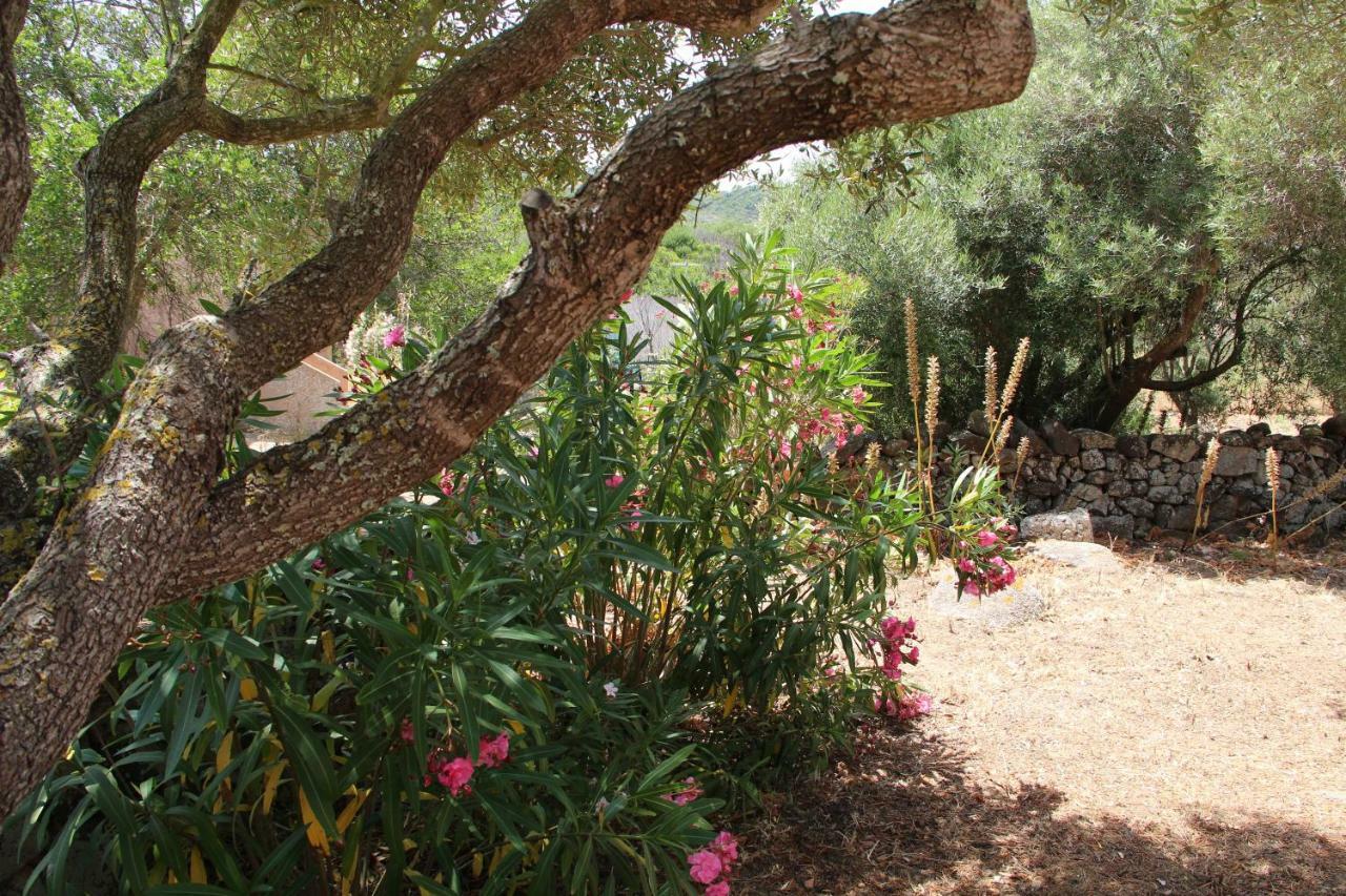 Le 25 Tartarughe Bed & Breakfast Santa Teresa Gallura Exterior photo
