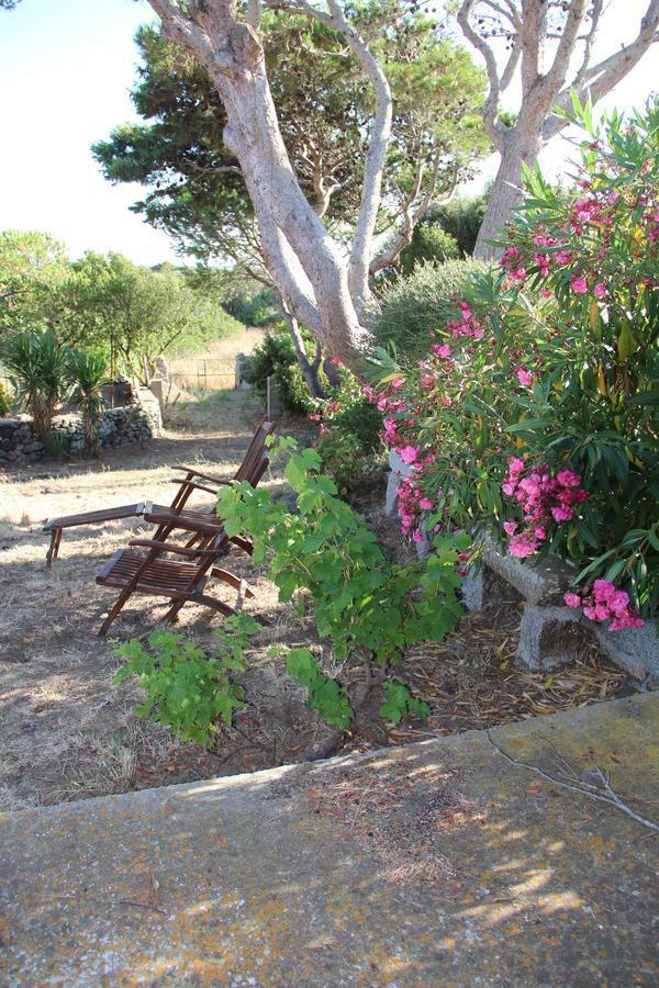 Le 25 Tartarughe Bed & Breakfast Santa Teresa Gallura Exterior photo