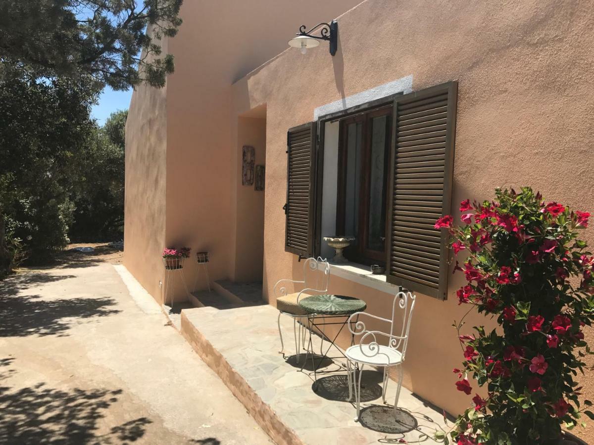 Le 25 Tartarughe Bed & Breakfast Santa Teresa Gallura Exterior photo